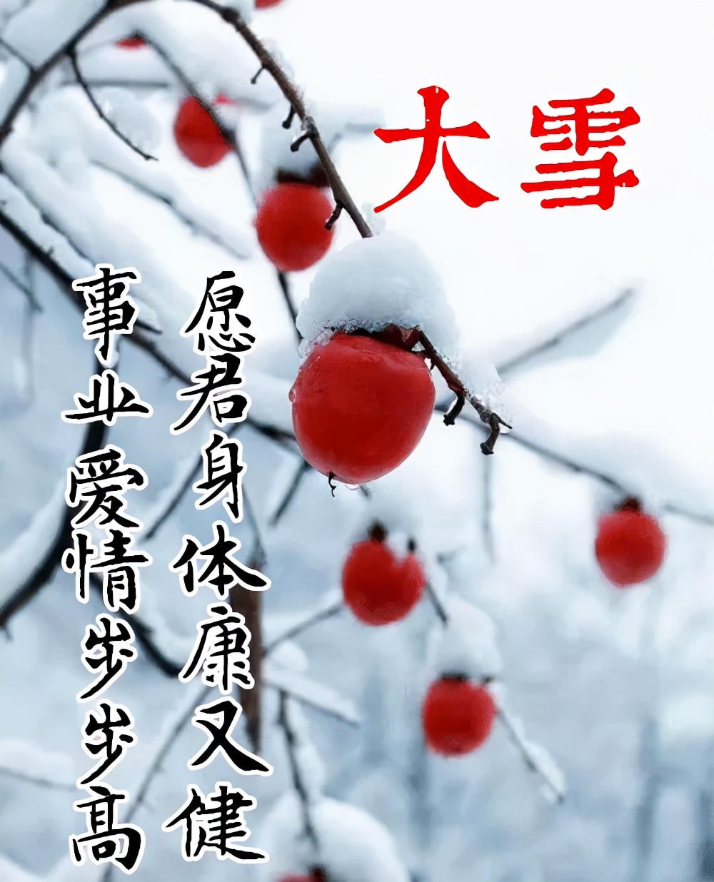 早晨安好：大雪节气到，祝你身暖如夏，心笑如花，早晨好