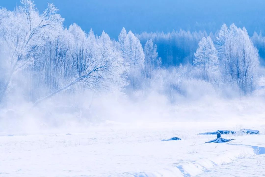 下雪啦！不读这20句诗词，你就不知道雪有多美