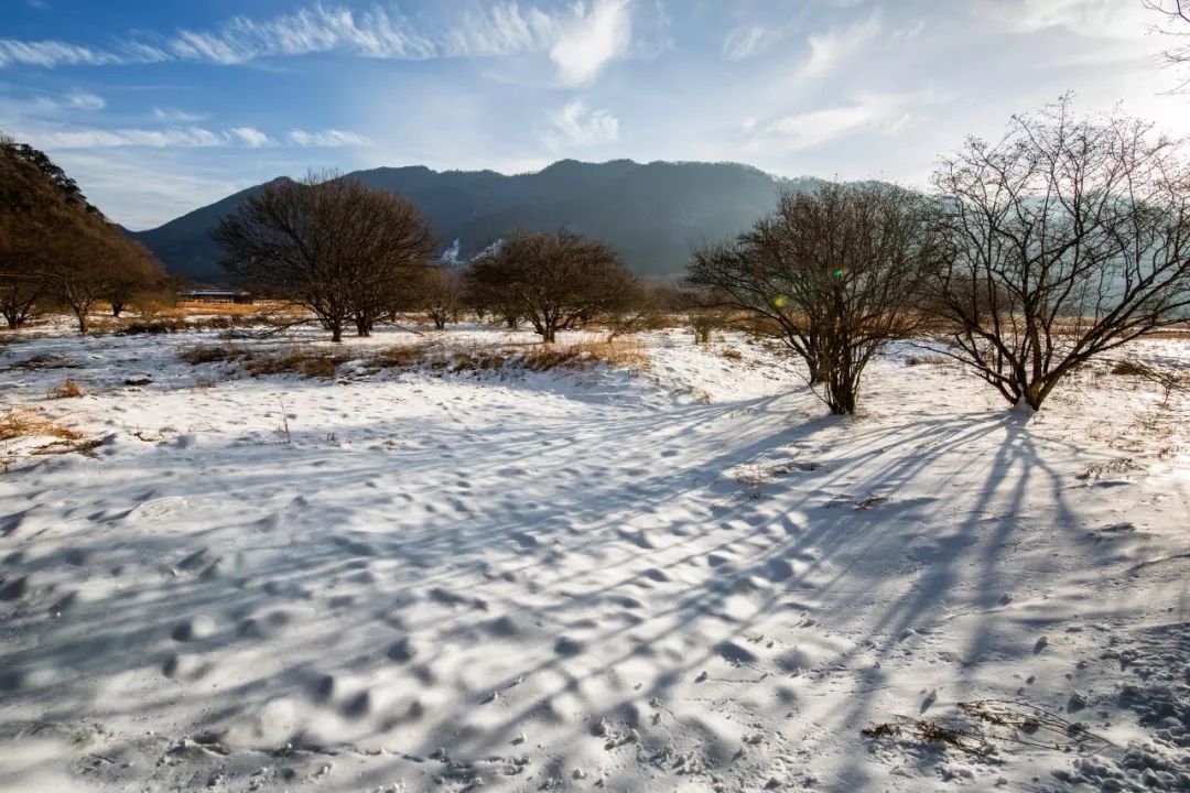 下雪啦！不读这20句诗词，你就不知道雪有多美