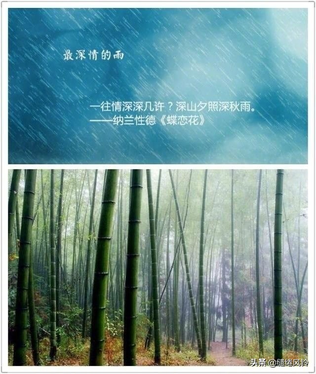 古诗词中的九场雨，从明媚到悲恸，哪一首最让你感伤？