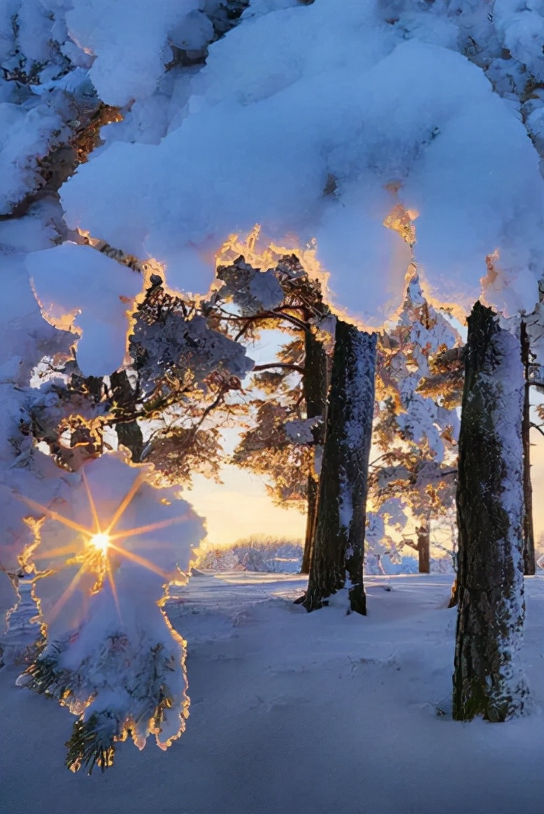 一场大雪美如画，十二首雪景的诗词，欣赏诗人笔下的绝美雪景