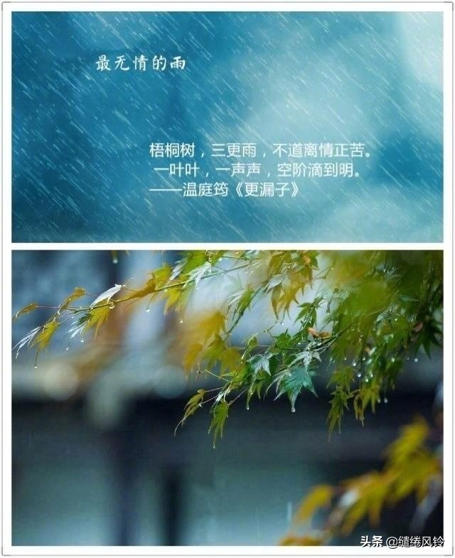 古诗词中的九场雨，从明媚到悲恸，哪一首最让你感伤？