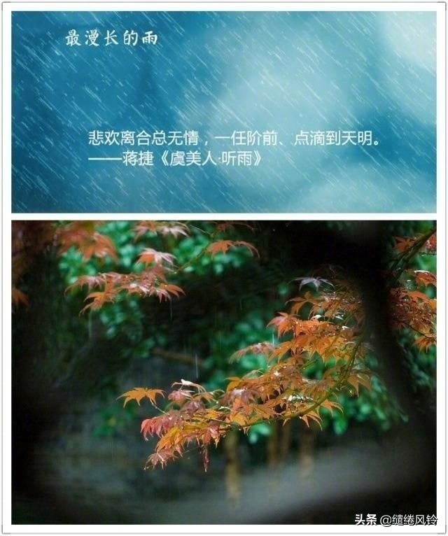 古诗词中的九场雨，从明媚到悲恸，哪一首最让你感伤？