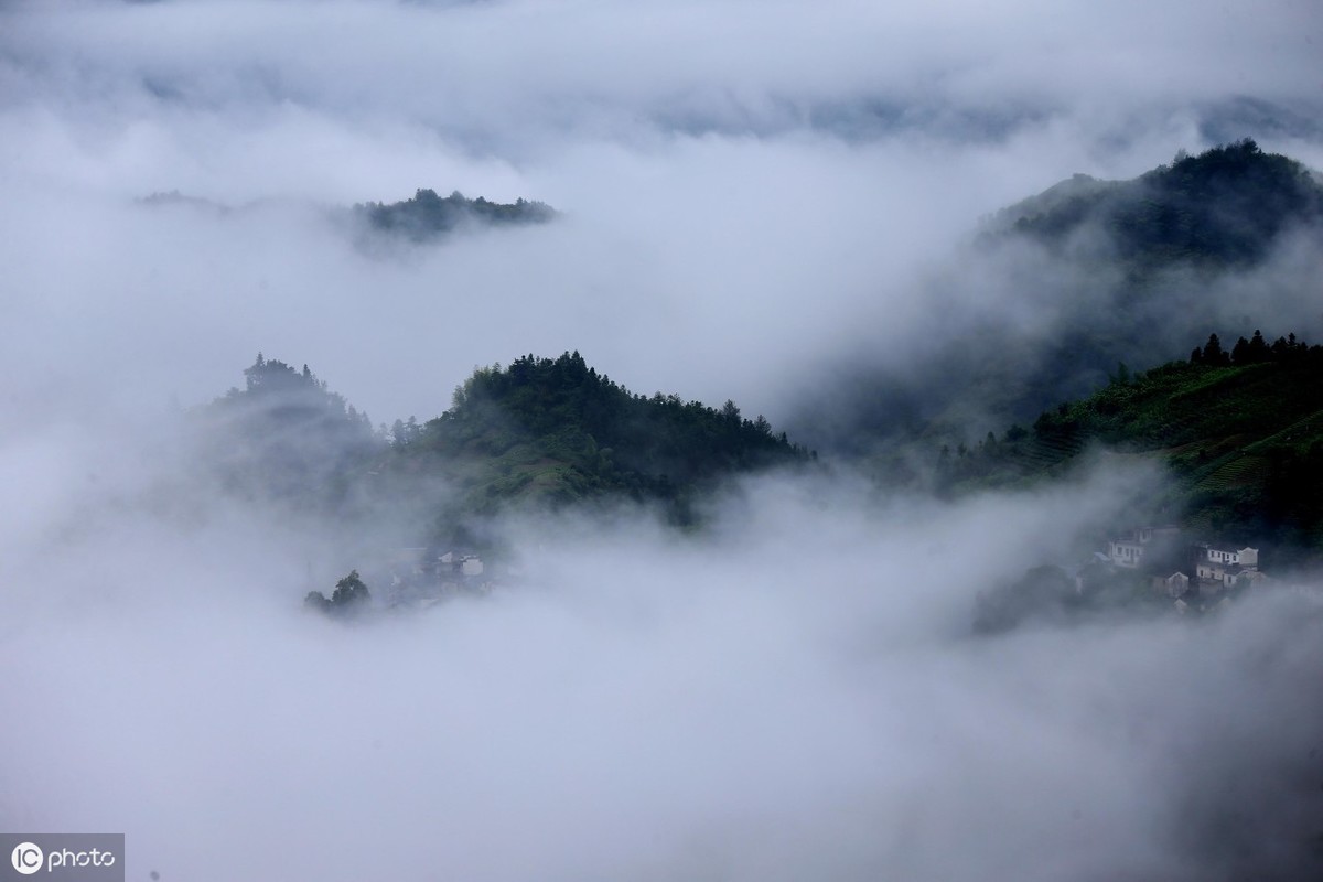 杜甫《登高》赏析