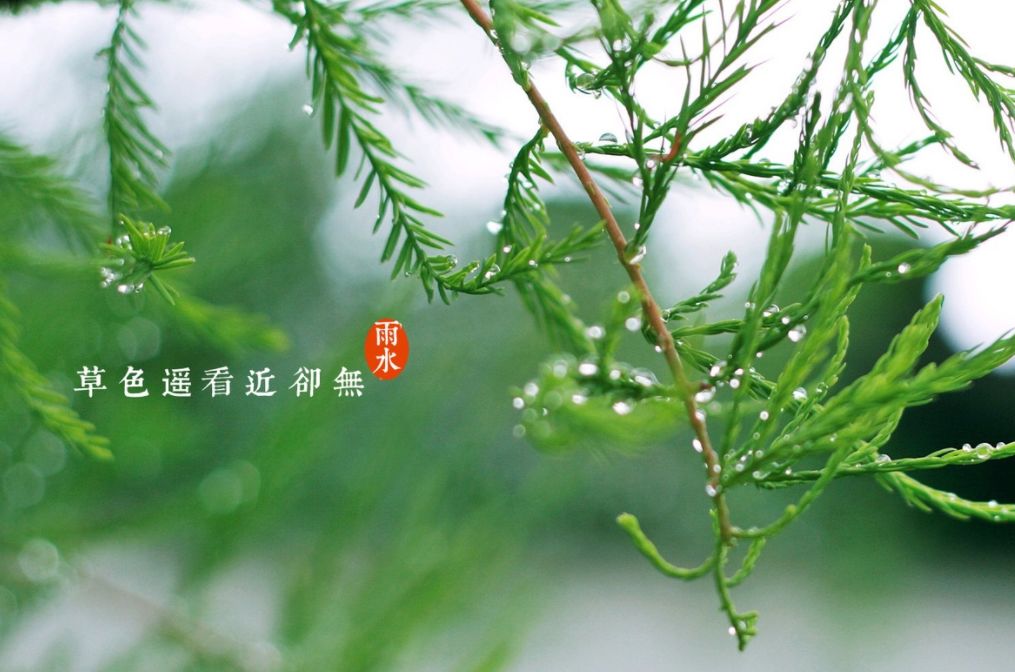 【诗词鉴赏】雨水至，一起品读雨水时节的古诗词吧！