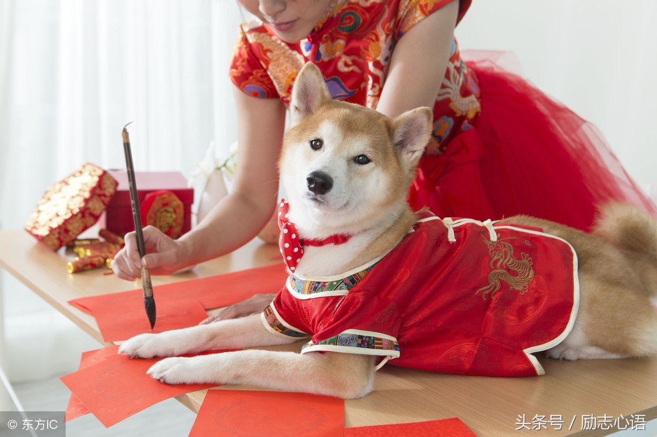 为大家整理的狗年祝福语，赶紧收了吧