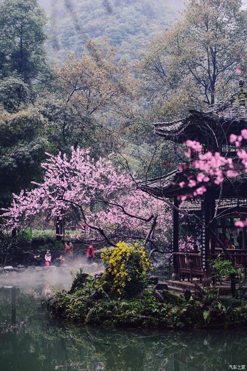 散文：寂静花开，时光很美，精神的世界也很美