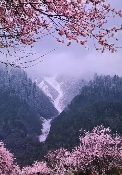 散文：寂静花开，时光很美，精神的世界也很美