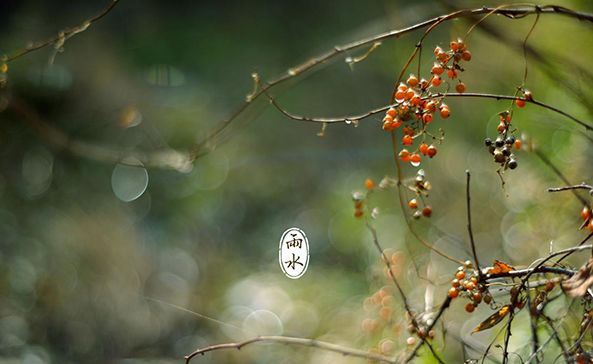 【诗词鉴赏】雨水至，一起品读雨水时节的古诗词吧！