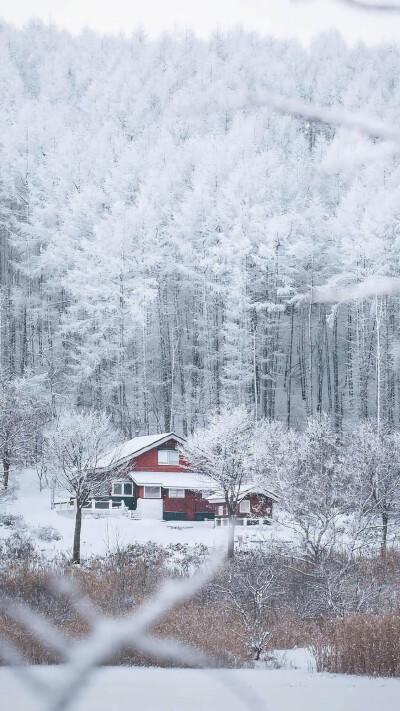 散文：春天里，最美的一场雪