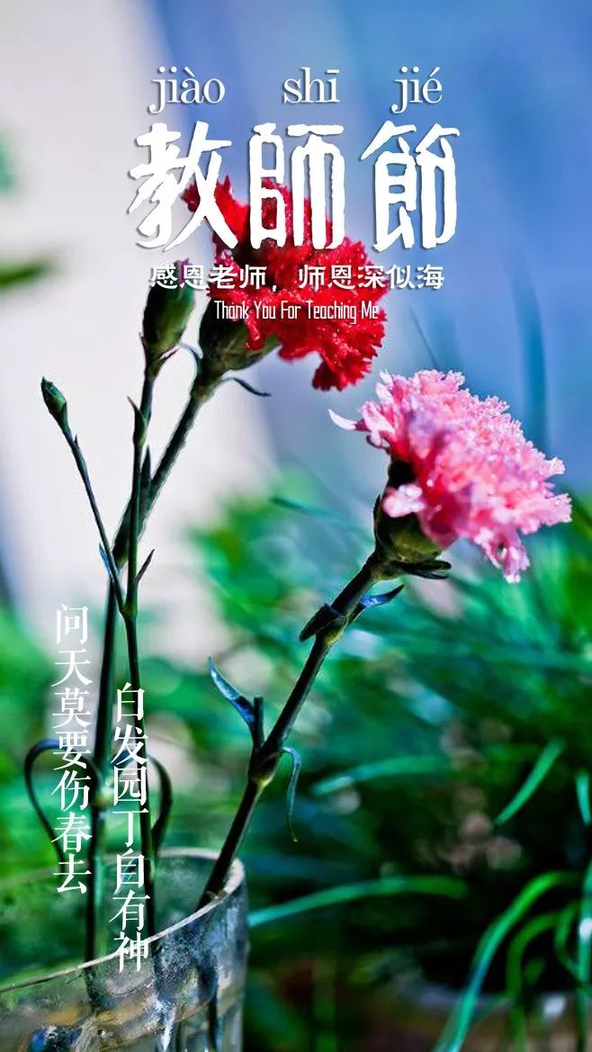 「诗词鉴赏」教师节，那些赞美老师的诗句