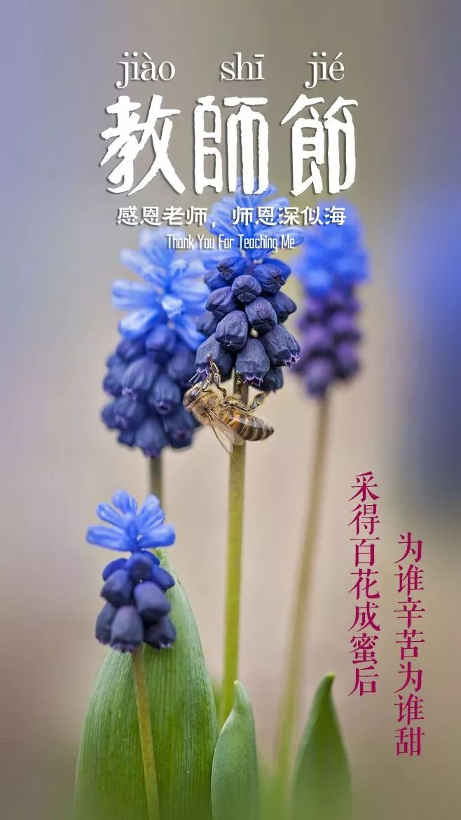 「诗词鉴赏」教师节，那些赞美老师的诗句