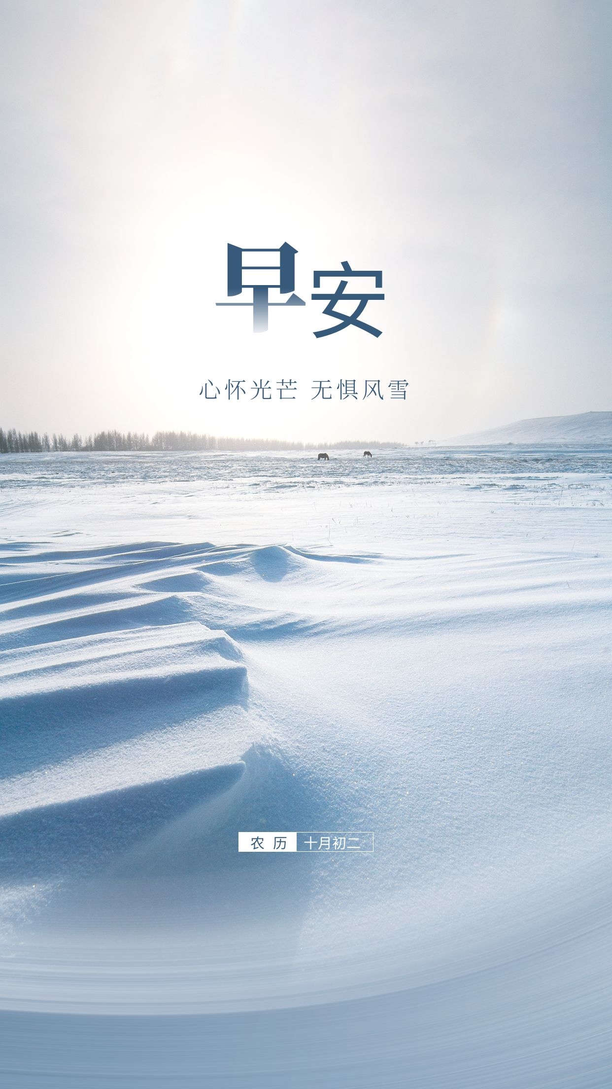 加油鼓励的正能量图片语录，心怀光芒，无惧风雪