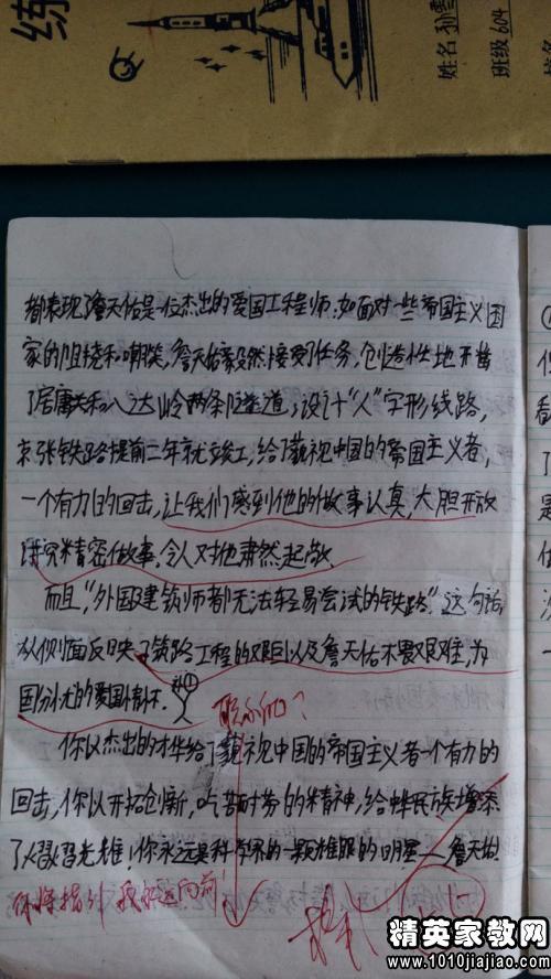 老人和海鸥读了200字