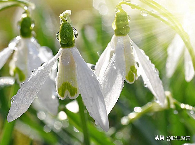 生日祝寿诗词精选四十二首 最美好的祝福，都在诗句里了