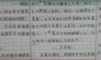 关于2021重庆高考零分作文：我们应当注重被忽略的部分大全