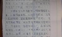 关于暑假趣事300字大全