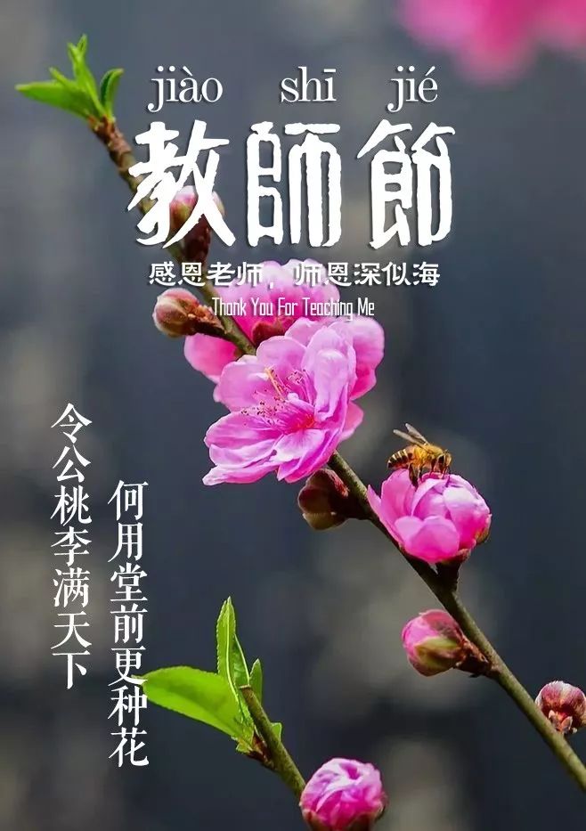 「诗词鉴赏」教师节，那些赞美老师的诗句