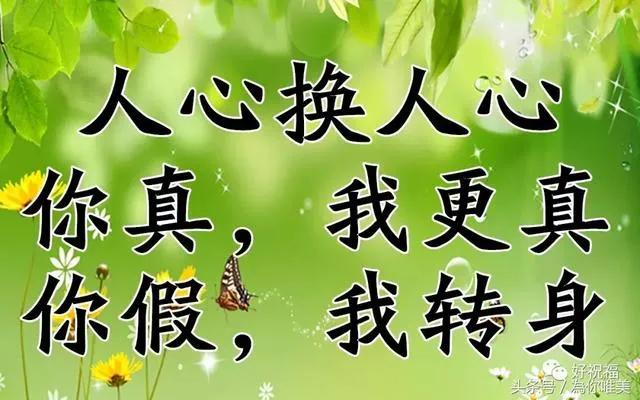 人心換不來人心,認真也得不到情深