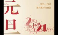 2021小学生元旦主题作文500字随笔5篇