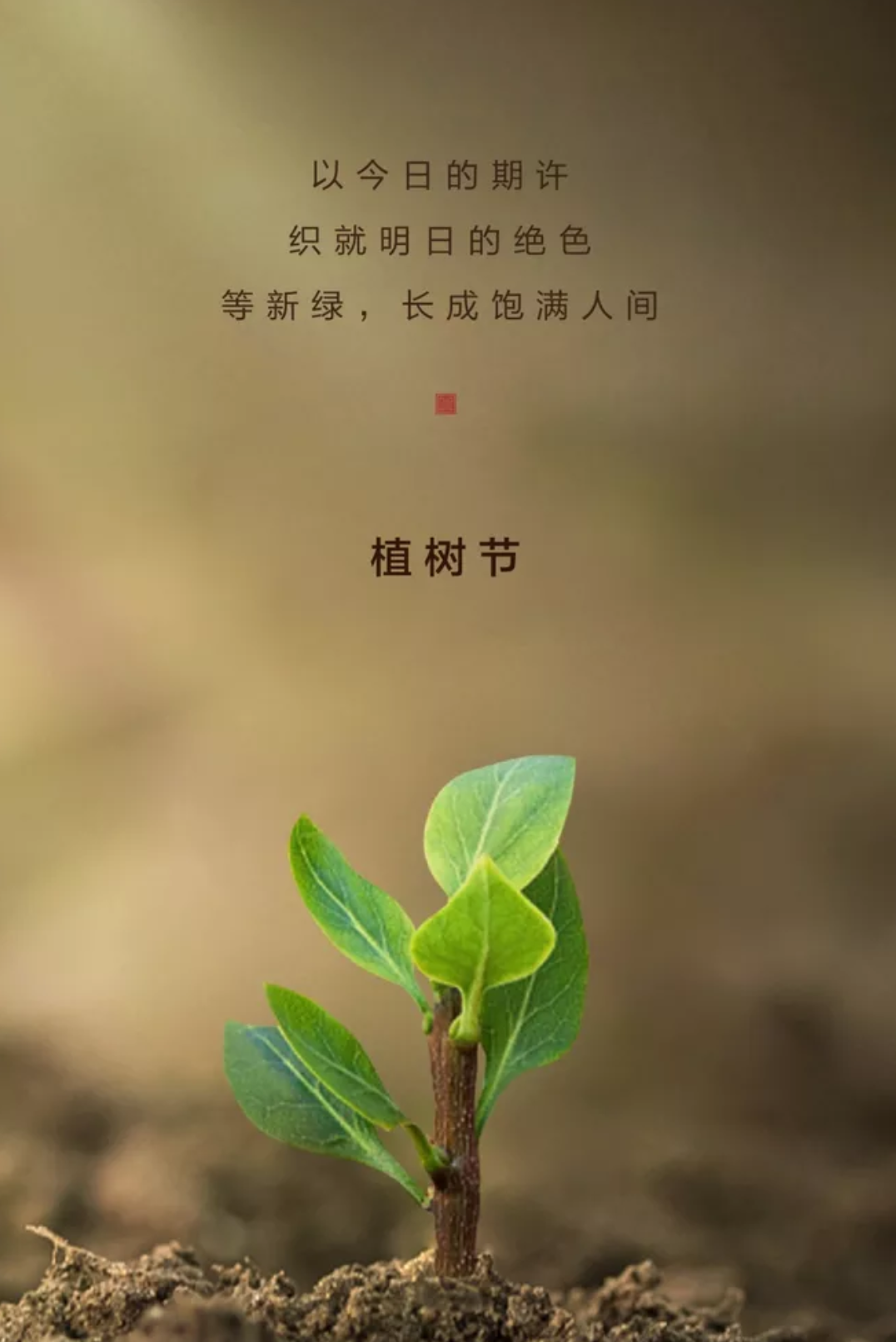 3.12植树节，关于“种树”的古诗词，你都知道哪些？