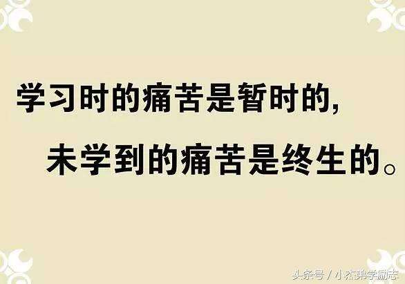 人生哲理幽默句子,人生哲理的幽默句子经典