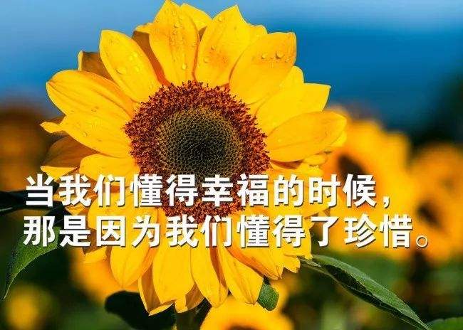 激励人心的长句子,激励人心的句子 激励人心的一段话