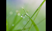 关于二十四节气雨水的早安说说(2021雨水节气发朋友圈的祝福语)大全