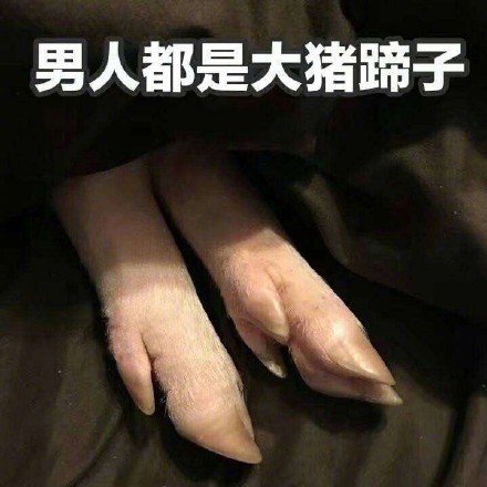 男人都是大猪蹄子是什么梗?具体是什么意思?