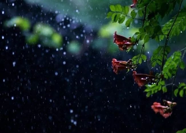 江郭多陰暑到遲,夜涼孤枕怯疏帷.聽風聽雨尋常慣,不似今朝醉醒時.