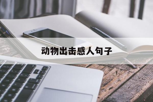 动物出击动人句子(动物出击不雅后感500字做文)