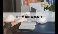 关于动物的唯美句子(关于动物的漂亮句)大全