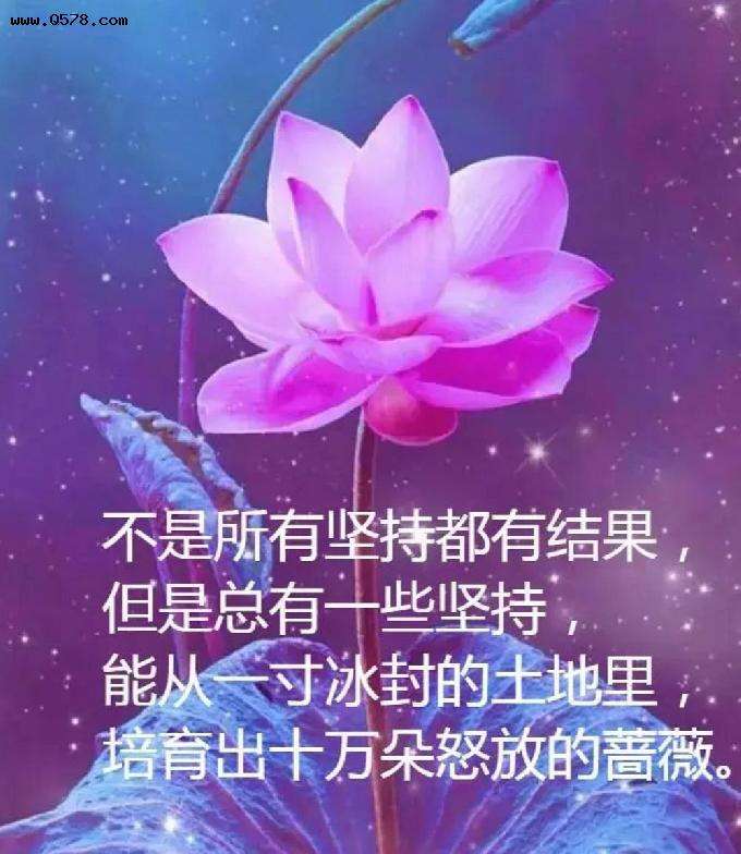 一段很现实的话豪情(一段很现实的话伤感)