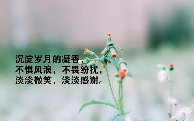 关于孩子说说表情短语人生感悟(小孩说说表情短语人生感悟)