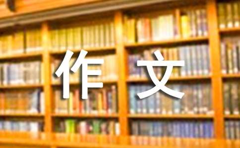 关于爱眼作文300字集合五篇