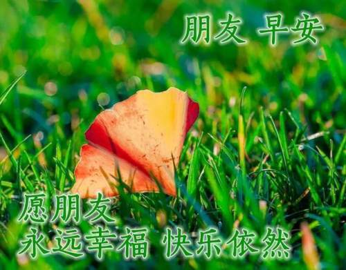 清晨美好正能量勵志語錄,清新帶字圖片安康問候祝福圖片大全