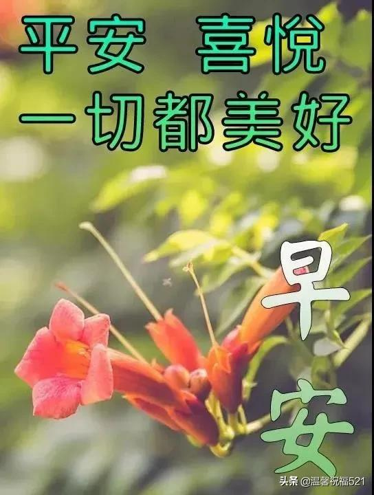 秋天早上好最新早上好高清图片祝福语 早上好问候表情包文字精选