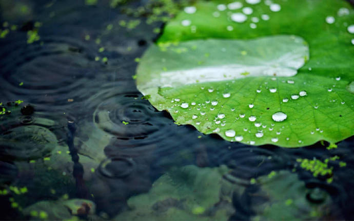 春水碧于天，画船听雨眠，用诗词带你去旅行，湖光山色尽在其中