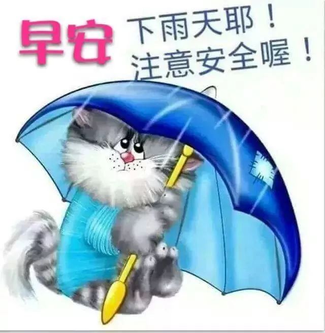 下雨天很温馨的短信问候祝福语关心话，早安祝福图片唯美带字