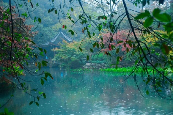 不知何处雨，已觉此间凉：有哪些唯美的下雨诗词？