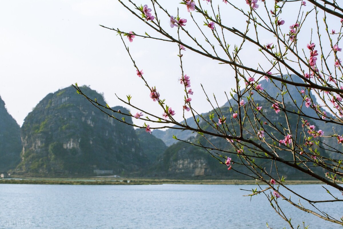 诗词学习笔记：煮酒把盏话桑麻——山水田园诗鉴赏