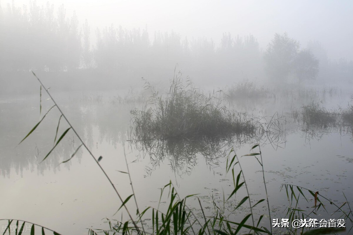 秋雨（散文）