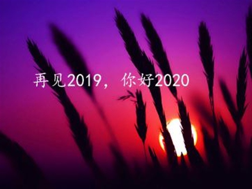 2019的遗憾希望在2020补上的句子