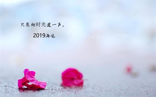 2019的遗憾希望在2020补上的句子