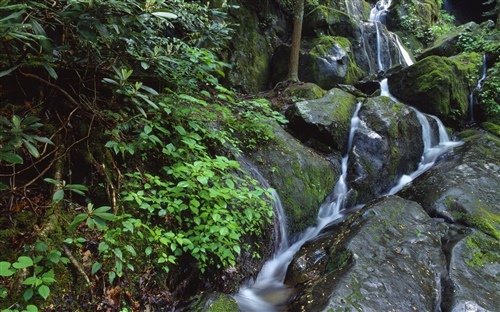 爬山呼吸新鲜空气朋友圈的配文