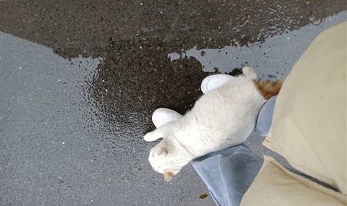 配下雨天的文案 下雨天的文案短句