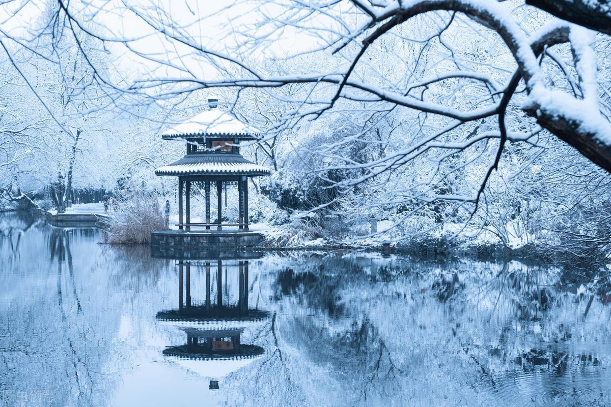 阿皮读古诗：惊雪(唐，陆畅)