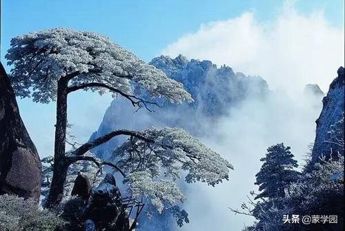 雪落古今诗词中，18首描写雪景的优美古诗词，让冬天美起来