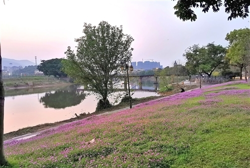 配学校风景的文案句子