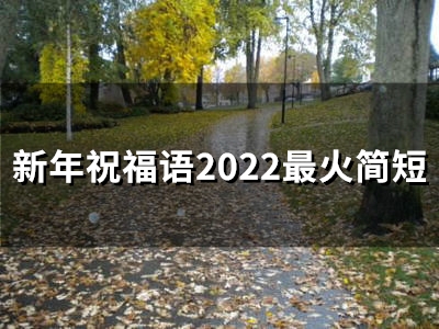 新年祝福语2023最火简短(精选42句)